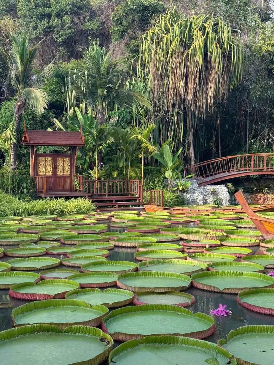 Фото к отзыву