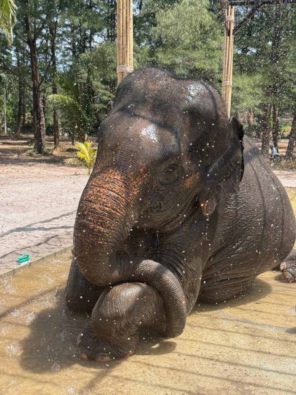 Фото к отзыву