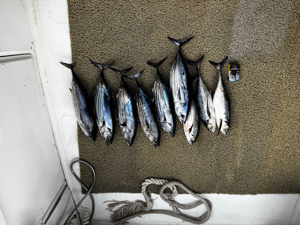 Фото к отзыву