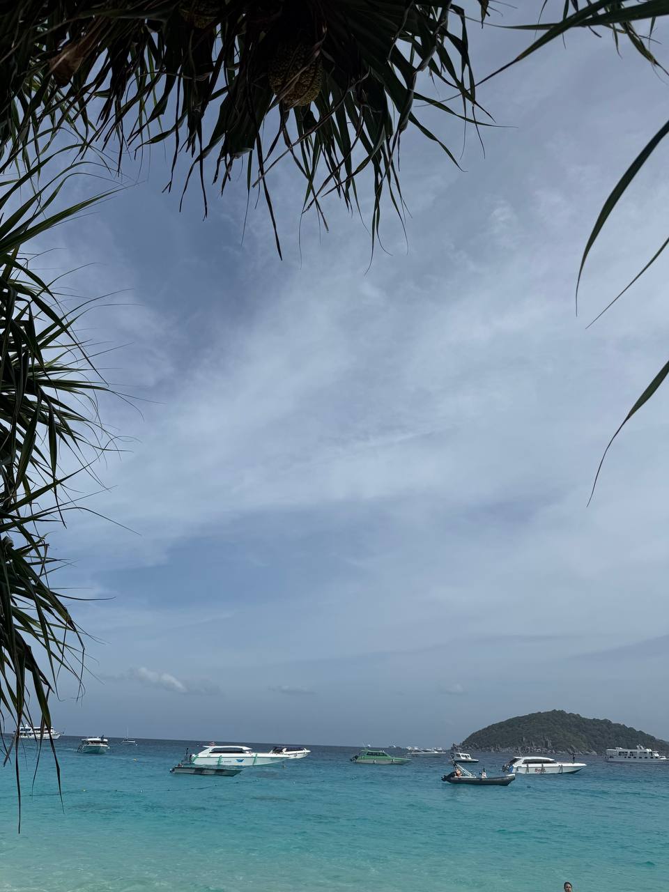 Фото к отзыву