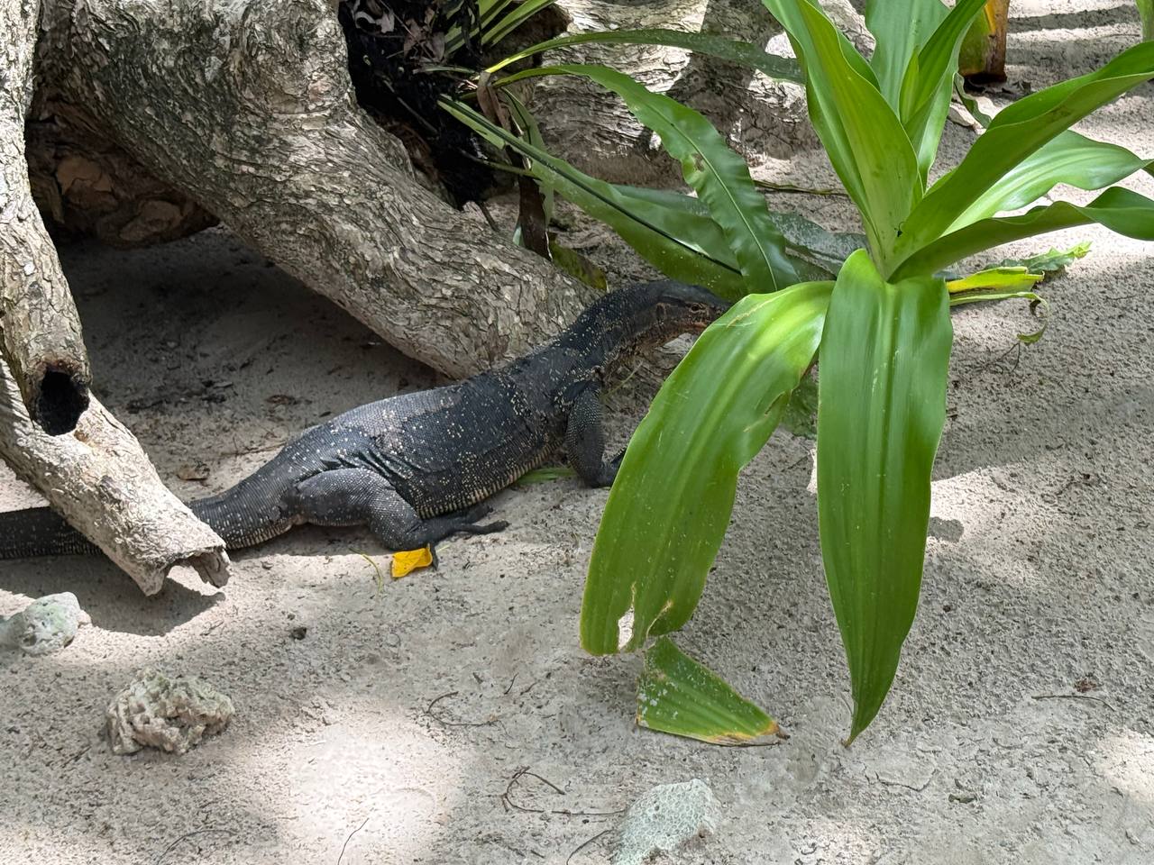 Фото к отзыву