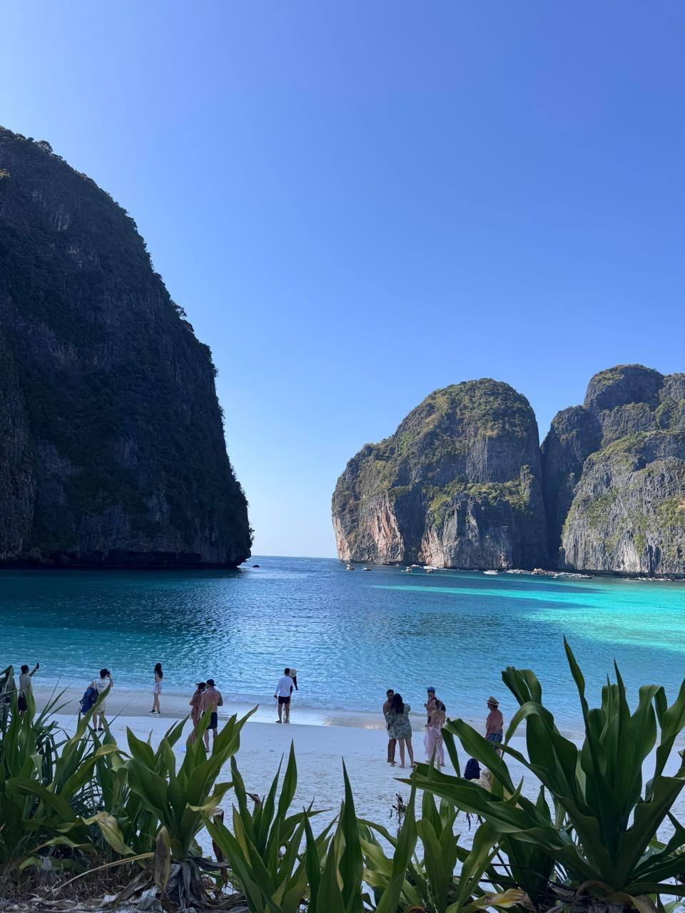 Фото к отзыву