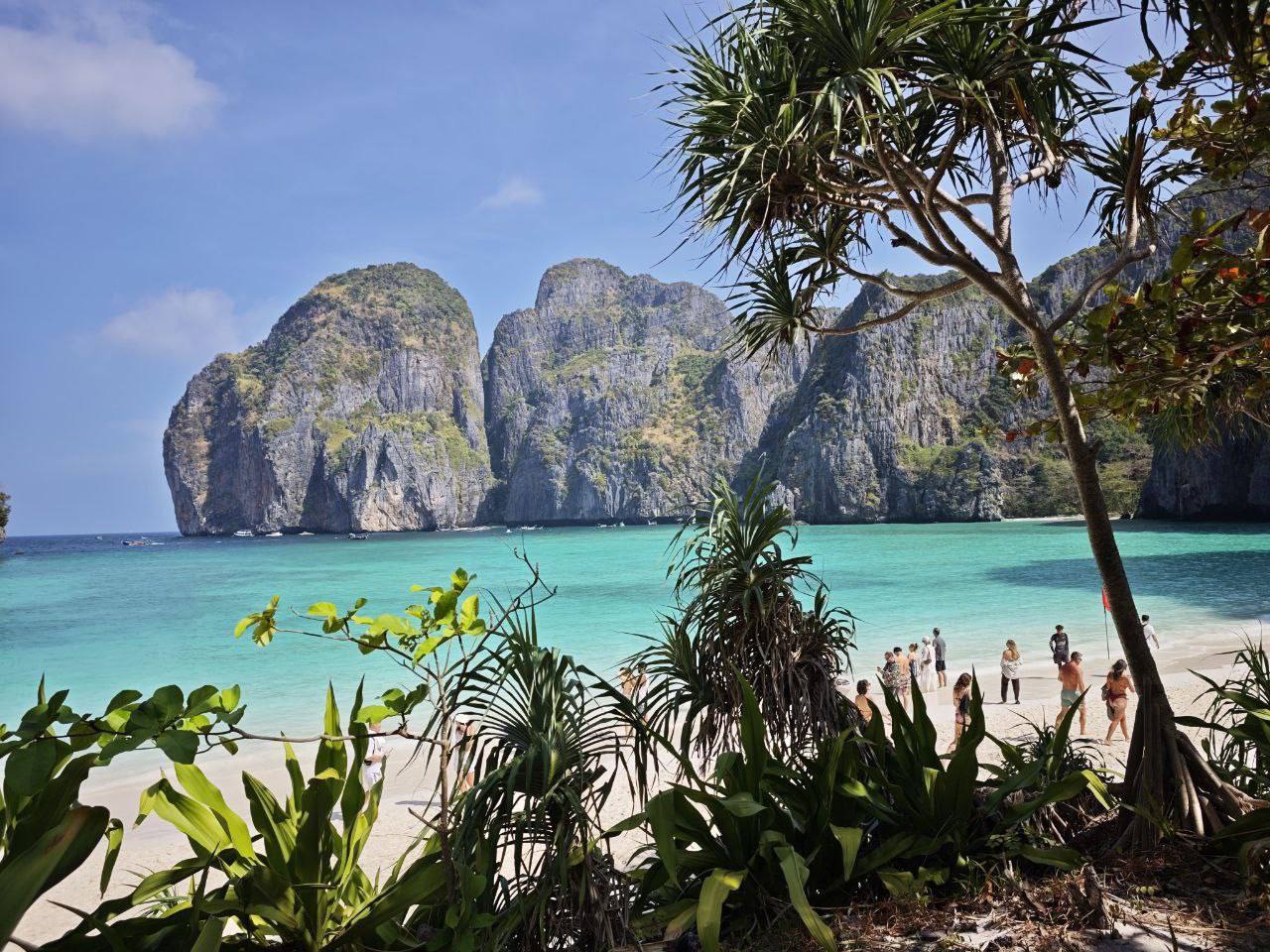 Фото к отзыву