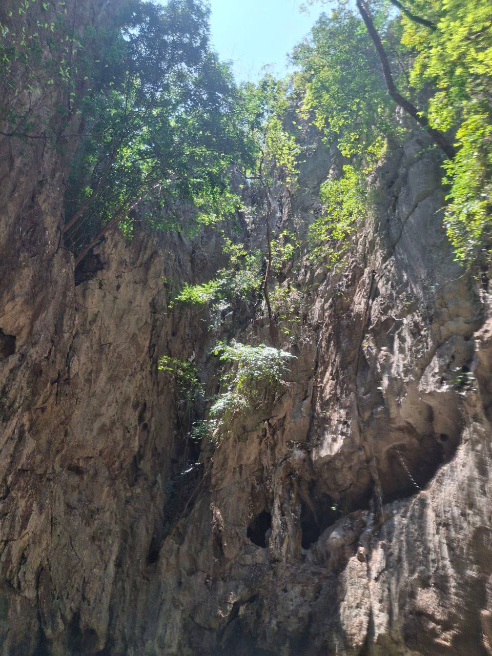 Фото к отзыву